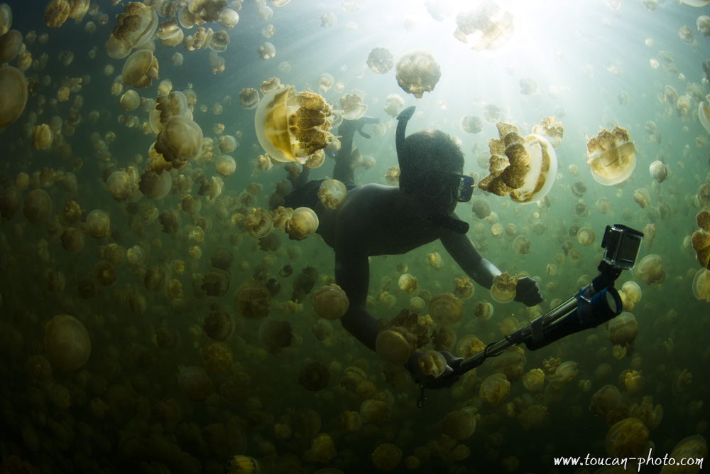 A swimmer among the Jellyfish