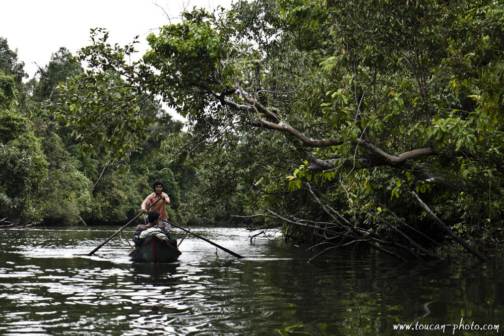 Cambodia, Kaoh Kong area