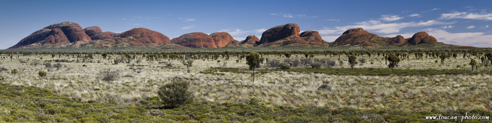 Panoramic