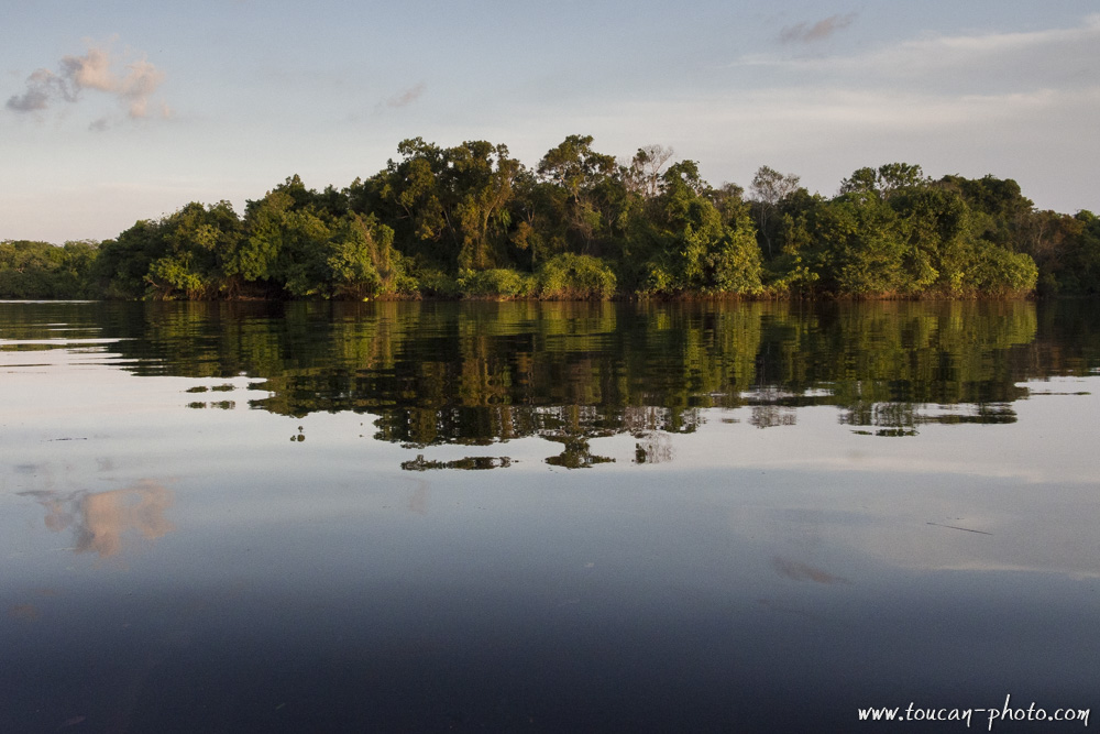 Rio Negro bank, Amazonia, Brazil