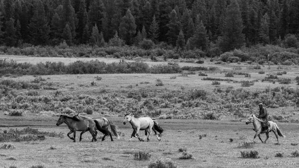 Mongolia/p