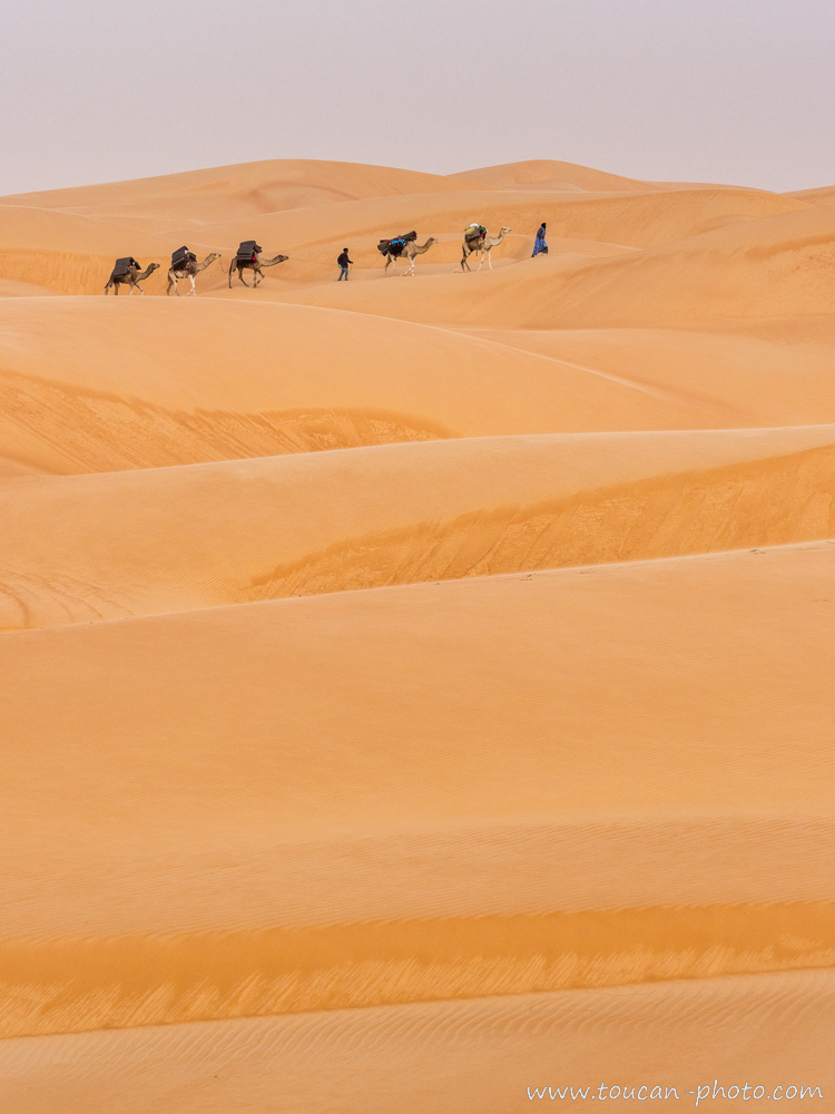 Mauritanie,