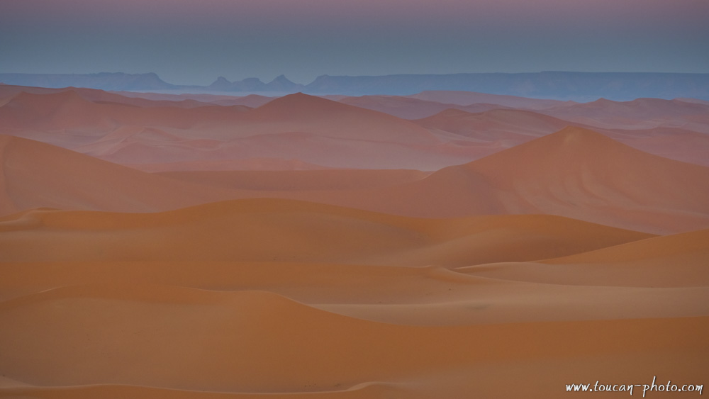 Sahara