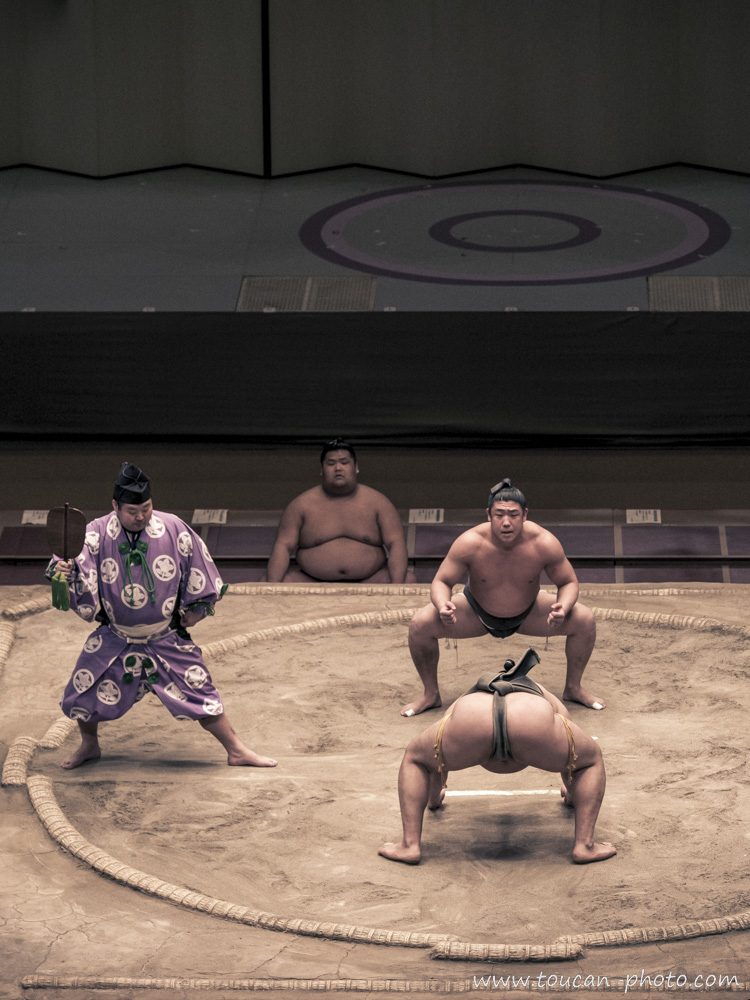 Sumo