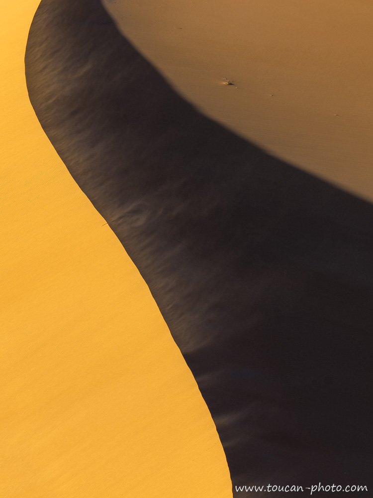Sable