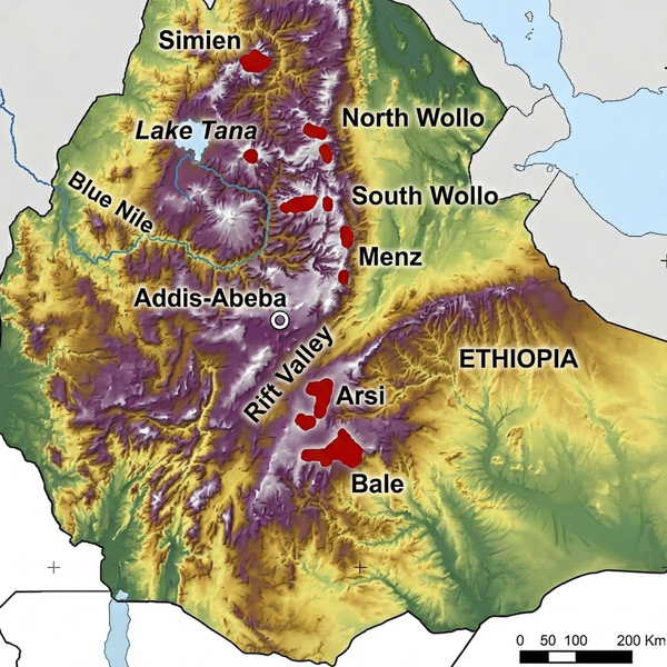 Range of the Ethiopian wolf (Canis simensis)