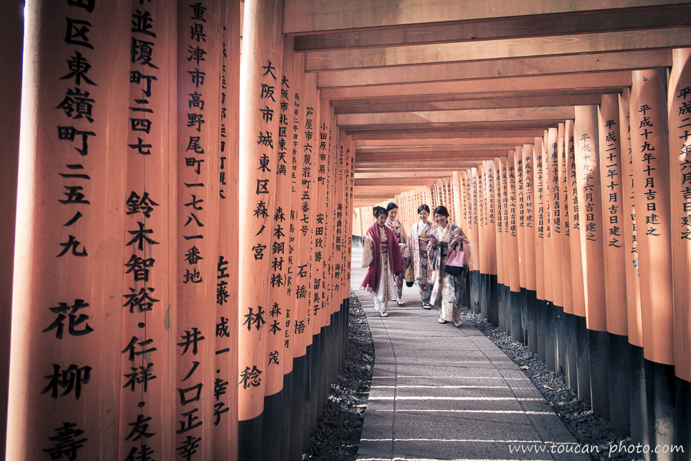 Tunnels de torii au Fushimi Inari-taisha, (伏見稲荷大社), Kyoto, Japon