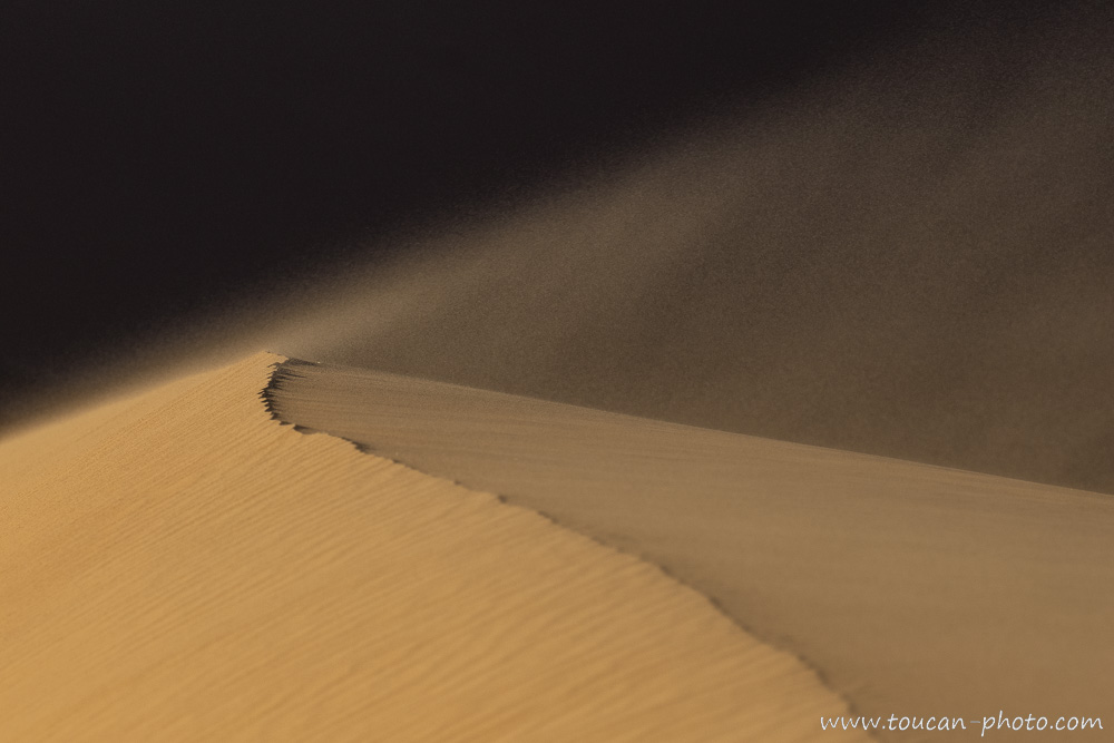 Crête de dune sous le souffle du Sahara - Algérie