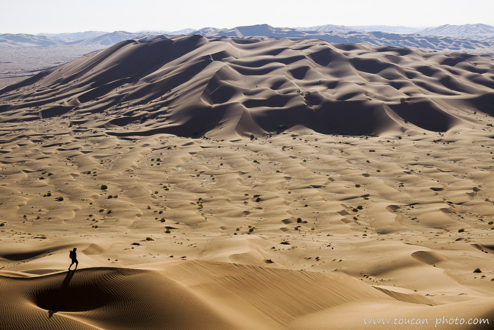 Un marcheur dans l'immensité du désert du Rub al-Khali, Oman